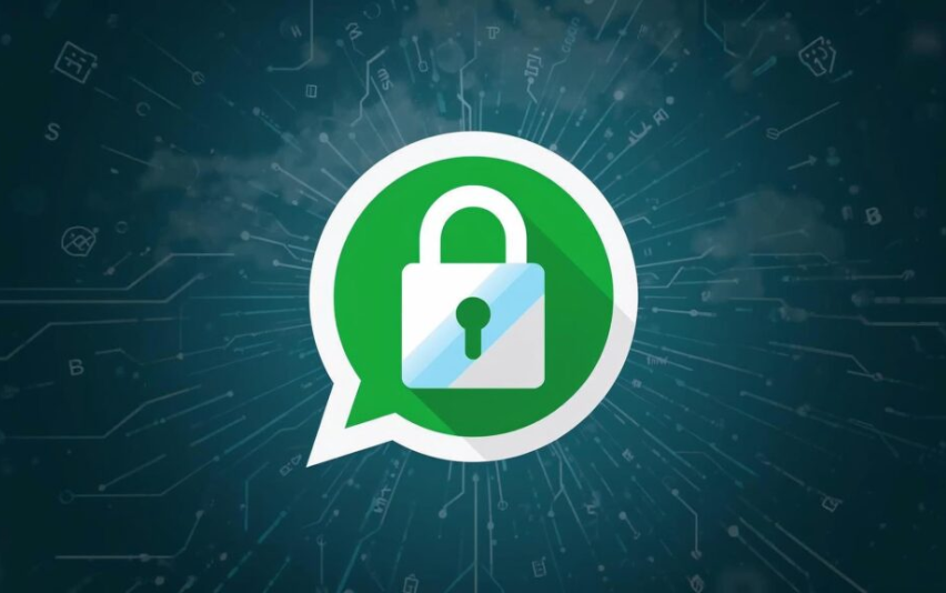 Meta WhatsApp data access